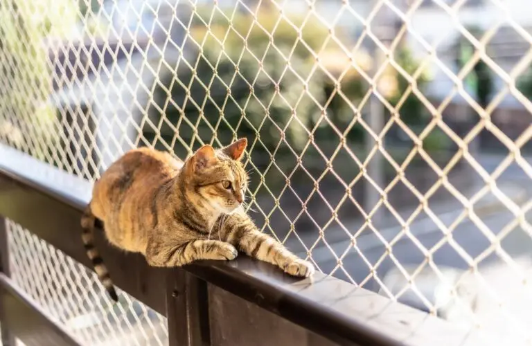 Tela de proteção: segurança e tranquilidade para o seu apartamento